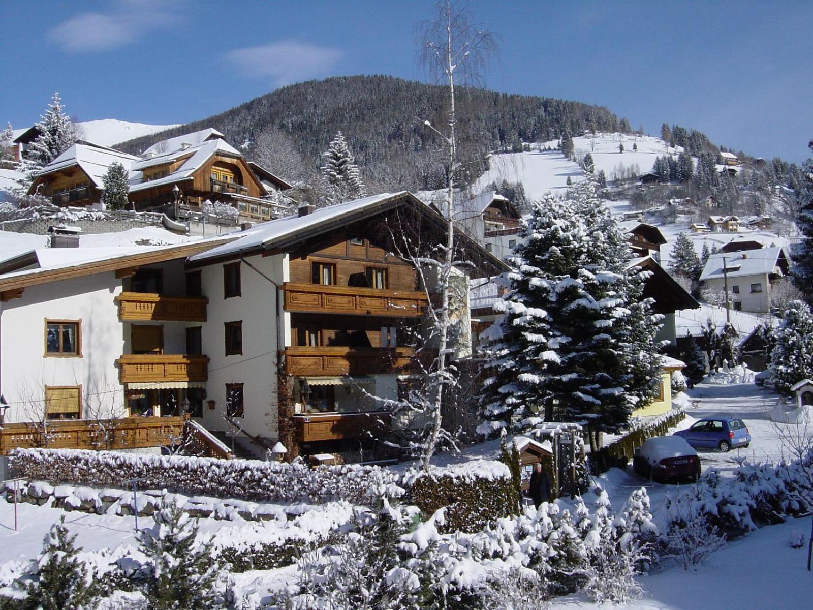 Pension & Appartement Steinwender Bad Kleinkirchheim Extérieur photo